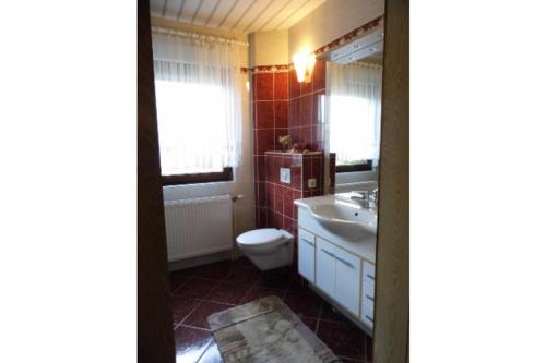 a bathroom with a toilet and a sink at Ferienhaus Lagenhof! Keine Monteure! in Gablenz
