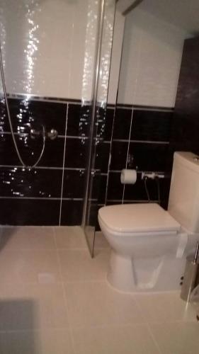 a bathroom with a toilet and a shower at Lena Central Flats in Bursa