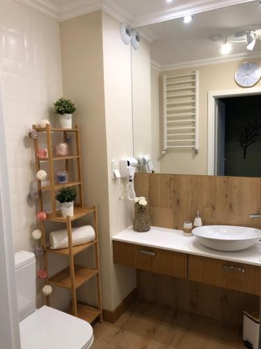 a bathroom with a sink and a mirror at Aqua Apartments in Reda