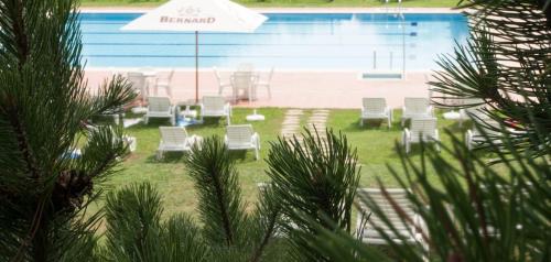 a group of lawn chairs sitting in front of a pool at Szent Orbán Erdei Wellness Hotel és Residence in Kóspallag
