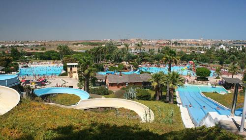 Bazén v ubytování Torrevieja apartment nebo v jeho okolí