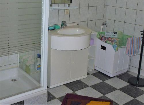 y baño pequeño con lavabo y ducha. en Ferienwohnung Meier, en Gumperda