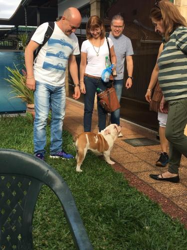 a group of people walking a dog on the grass at Hotel Las Residentas in Luque