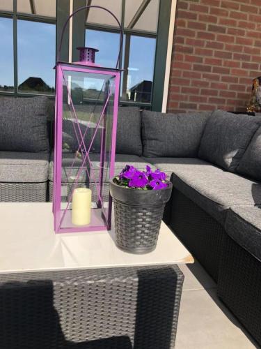 a pink lantern sitting on top of a table with purple flowers at B&B nancy in holland met eigen badkamer , independent bathroom in Aalten