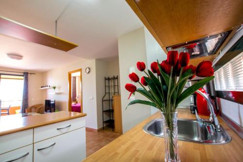 eine Vase roter Tulpen auf einer Küchentheke in der Unterkunft Paraiso 1 Sea view - TENESOL RENTALS in Playa Paraiso