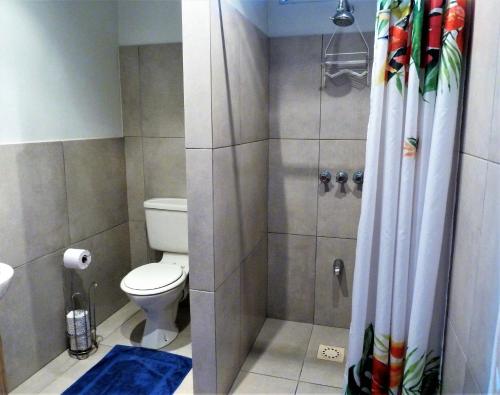 a bathroom with a toilet and a shower at Miller's Guest House in Buccoo