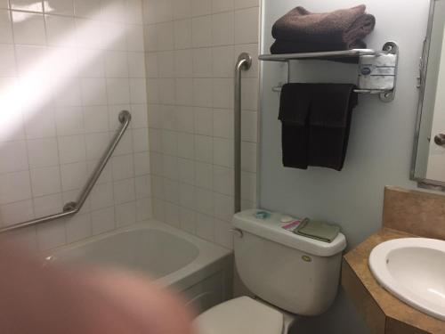 Innisfail的住宿－Travel Inn & Suites，浴室配有卫生间、盥洗盆和浴缸。