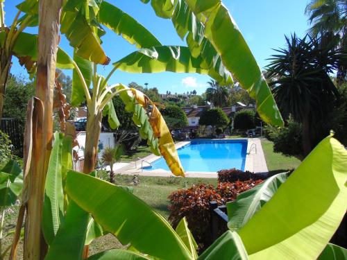 Torrequebrada Golf & Beach Guesthouse, Benalmádena – Prezzi ...