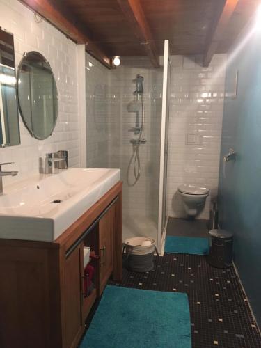 uma casa de banho com um lavatório, um chuveiro e um WC. em Charmante maison familiale em Saint-Pierre-de-Chartreuse