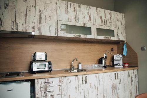 uma cozinha com um balcão com uma torradeira e um micro-ondas em Апартамент Барок em Lovech