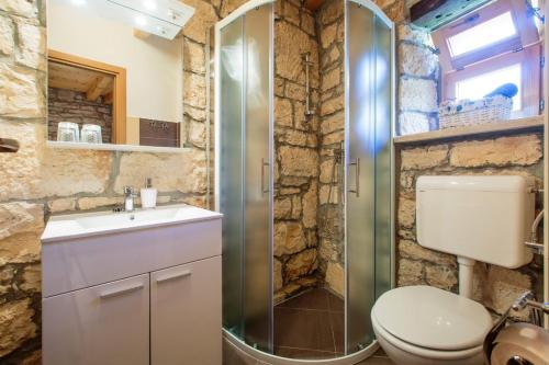 łazienka z prysznicem, toaletą i umywalką w obiekcie Didova Villa in the Heart of Istria w mieście Jakići