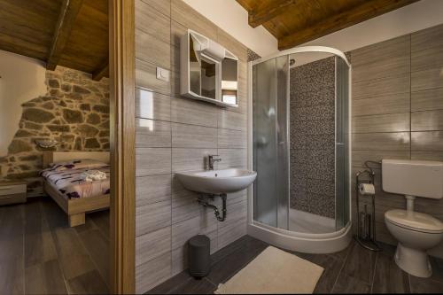 ein Badezimmer mit Waschbecken, Dusche und Toilette in der Unterkunft Spacious Four-Bedroom Villa Marija Kloštar in Kloštar