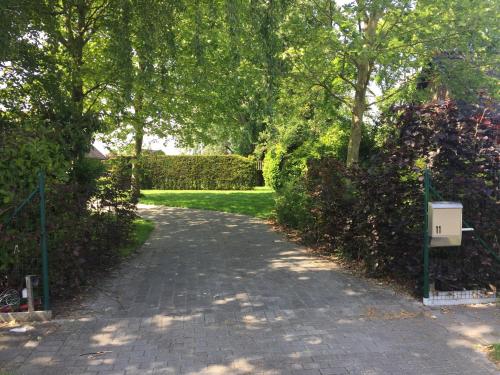 Zahrada ubytování Villa Kokeliko