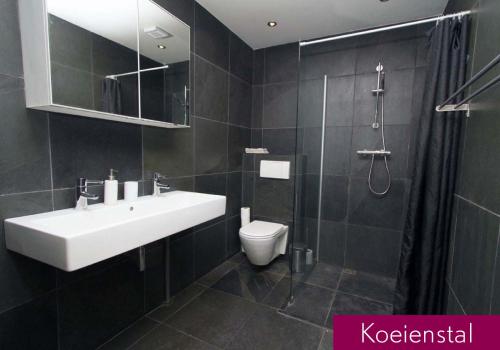 ウェースプにあるHannahhoeve Private House with wifi and free parking for 1 carの洗面台、トイレ、シャワー付きのバスルーム