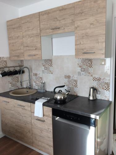 a kitchen with a sink and a stove at Apartament Pod sanockim zamkiem in Sanok