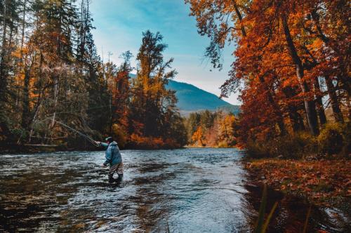 a man is fishing on a river in the woods at Cowichan River Lodge in Lake Cowichan