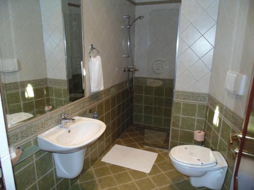 a bathroom with a sink and a toilet at Curtea Brasoveana in Braşov