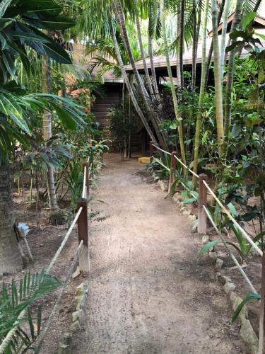 a path leading to a house with palm trees at Bananarama Dive & Beach Resort in West Bay