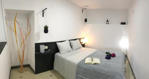 - une chambre avec un lit et 2 livres dans l'établissement Loft Arco del Cristo., à Cáceres