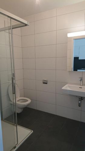 a bathroom with a toilet and a sink at Apartments in Bern - Breitenrainplatz in Bern