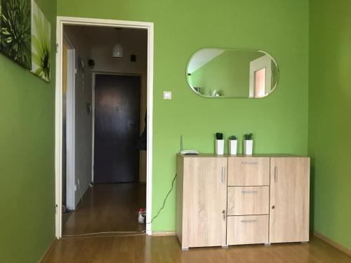 a green room with a mirror and a wooden cabinet at Lokum u Joanny in Nowy Łupków