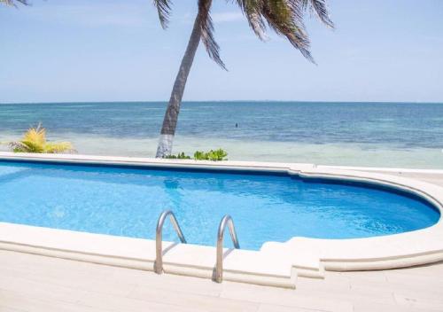 - une piscine bordée de palmiers à côté de l'océan dans l'établissement Flamingo Paradise Front by Cielo Maya, à Cancún