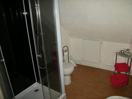 a bathroom with a toilet and a glass shower at Au Nid de Tillé in Tillé