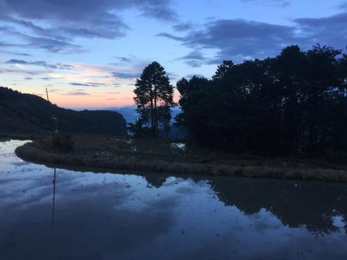 a reflection of a tree in the water at sunset at Beyond the Terrace Residence in Yuanyang