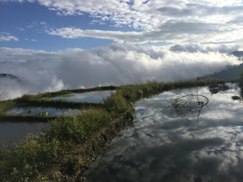 a body of water with clouds in the sky at Beyond the Terrace Residence in Yuanyang