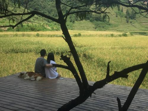 a man and woman sitting on a deck with a dog at Beyond the Terrace Residence in Yuanyang