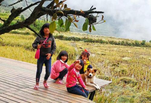 a group of children and a dog on a boardwalk at Beyond the Terrace Residence in Yuanyang