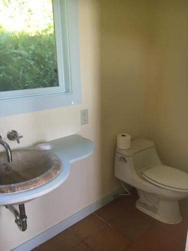 a bathroom with a toilet and a sink and a window at Holualoa bungalows in Kailua-Kona