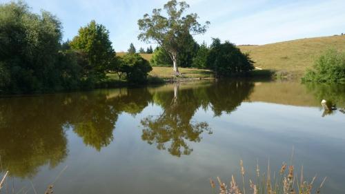 Gallery image of Tasman Farmstay Retreat GlenMhor in Tasman