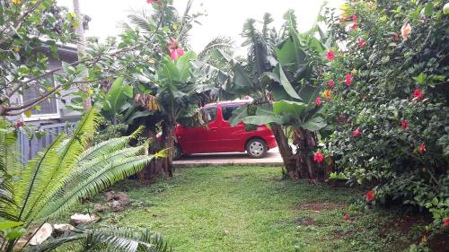 a red van parked in a yard with trees at Dayspring Lodge in Nuku‘alofa