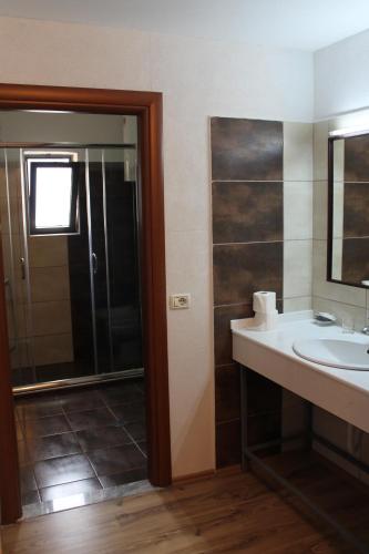 a bathroom with a sink and a shower at Hotel Livia in Tirana