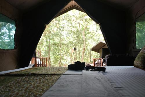 a tent with two bags on the floor of it at Explorer by Eco Team - Kumana National Park in Kumana