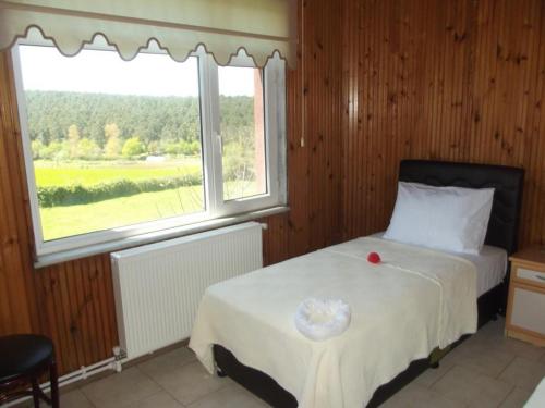 ein Schlafzimmer mit einem Bett und einem großen Fenster in der Unterkunft Hamsilos Apart Hotel in Sinop