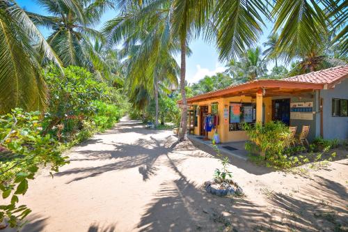 a small building on a beach with palm trees at Kitesurfing Lanka in Kalpitiya
