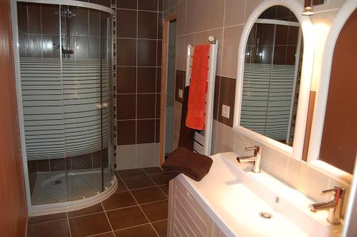 TouffaillesにあるMaison d'hôte Lapiadeのバスルーム(シャワー、シンク、鏡付)