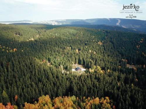 an aerial view of a forest of trees at Jezírko lesní restaurant & penzion in Jáchymov