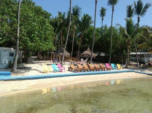 a beach with chairs and tables and palm trees at Seafarer Key Largo Resort and Beach in Key Largo