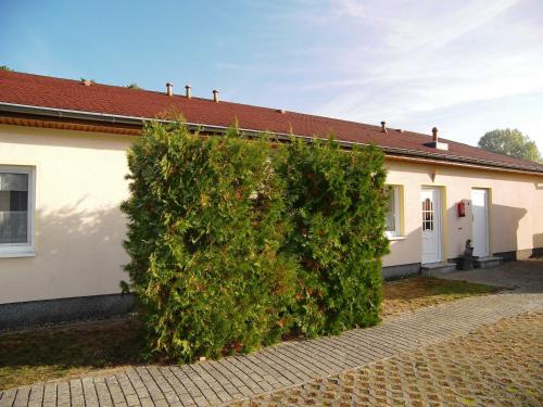 un grande cespuglio verde davanti a una casa di Schwab_ Ferienwohnungen in Zempin a Zempin