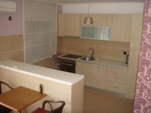 A kitchen or kitchenette at Apartments Orfej