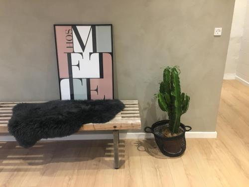 a bench with a black fur on it next to a cactus at Hos Mette in Børkop