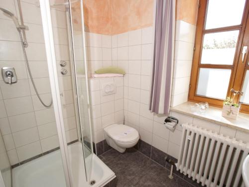 a bathroom with a toilet and a shower at Gasthof Huberwirt GmbH in Rosenheim