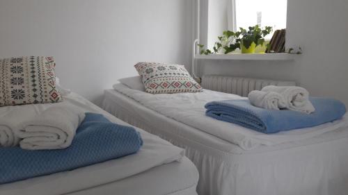 Posteľ alebo postele v izbe v ubytovaní Ogrodowa Apartments