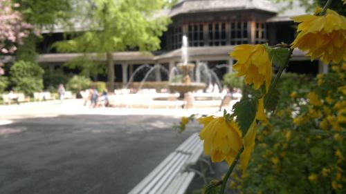 a fountain in the middle of a park with yellow flowers at Villa Steiermark in Bad Reichenhall