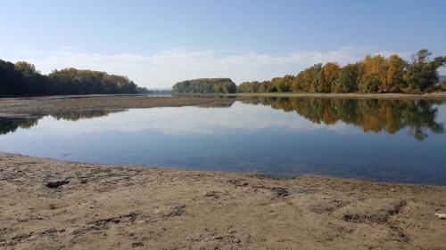 a large body of water with trees in the background at RUTHMANN-Rheinblick GARNI in Oestrich-Winkel