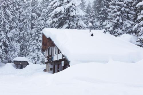 uma casa coberta de neve com árvores ao fundo em хижа "Скакавица" em Panichishte