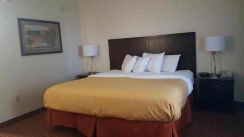 a large bed in a hotel room with two lamps at AmericInn by Wyndham Muscatine in Muscatine